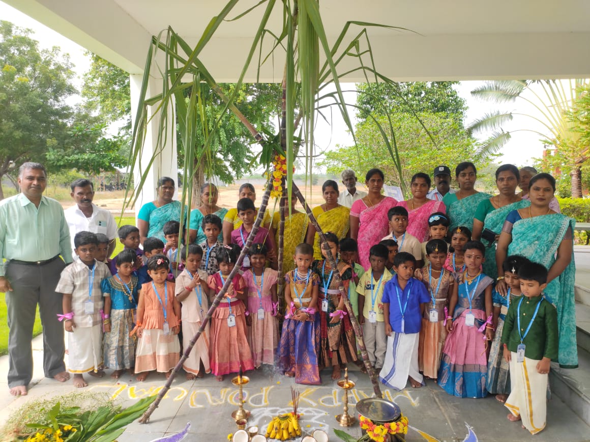 Pongal Day